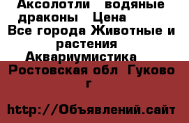 Аксолотли / водяные драконы › Цена ­ 500 - Все города Животные и растения » Аквариумистика   . Ростовская обл.,Гуково г.